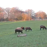 Les Des Pierreux Σαλέ Gesves