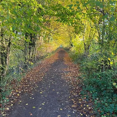 Les Des Pierreux Gesves