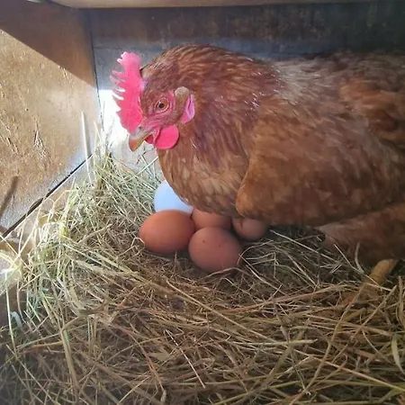 シャレー Les Des Pierreux *