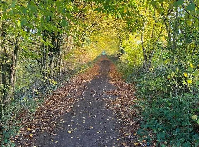 Les Des Pierreux Gesves