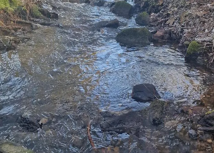 Les Des Pierreux Gesves